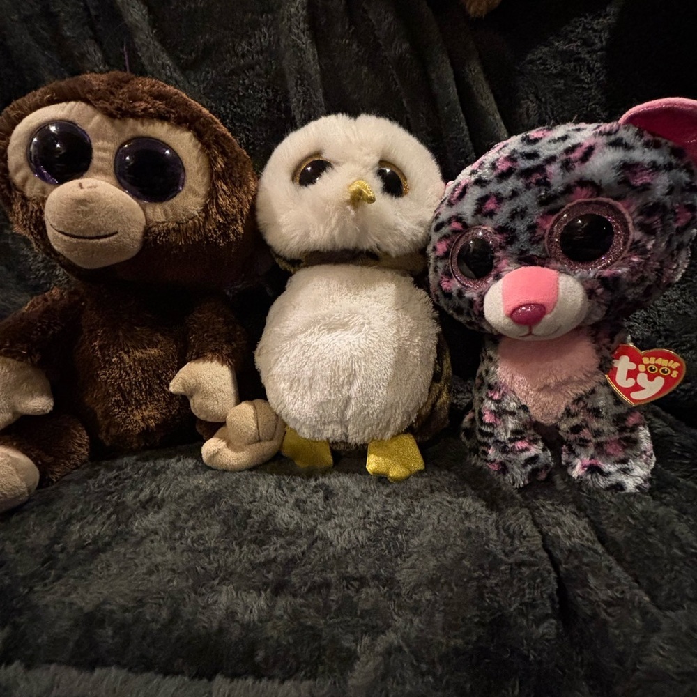Ty Beanie Boos Bundle